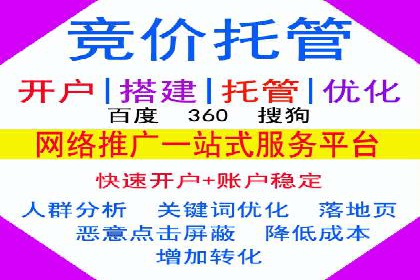 百度搜索引擎优化推广：成功案例揭秘